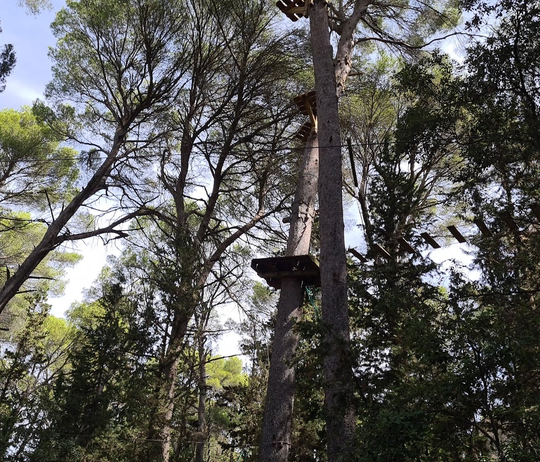 Accrobranche Montagnac 1