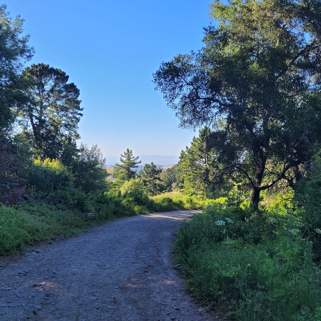 Seaview Trailhead 2