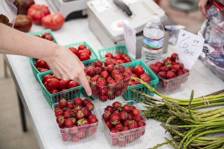 Iowa City Farmers Market