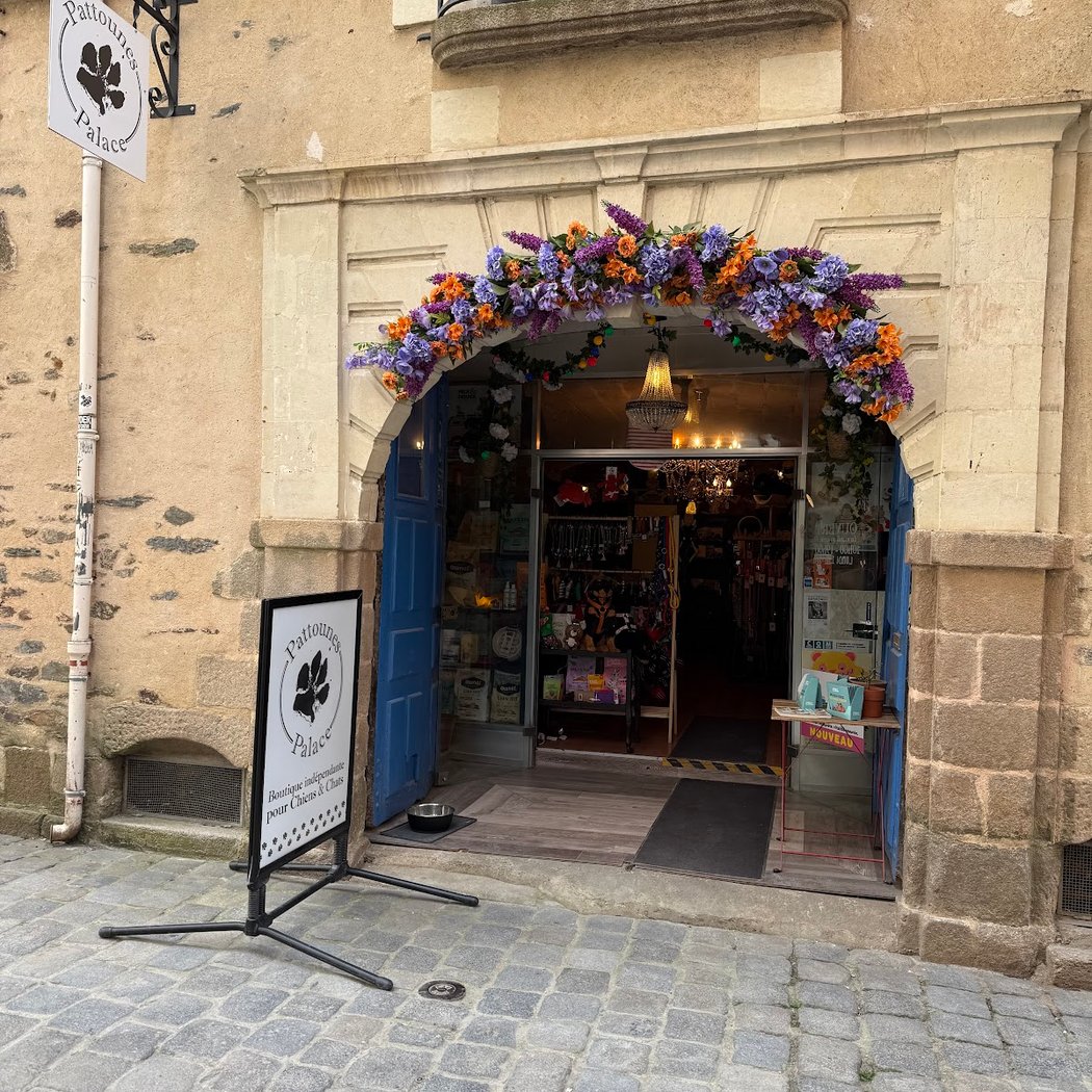 Pattounes Palace 2