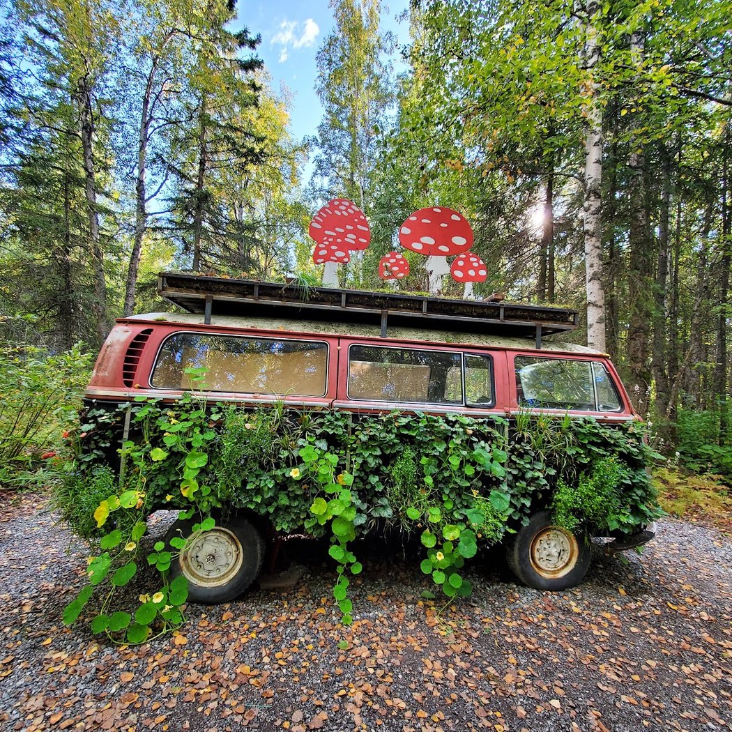 Alaska Botanical Garden 3