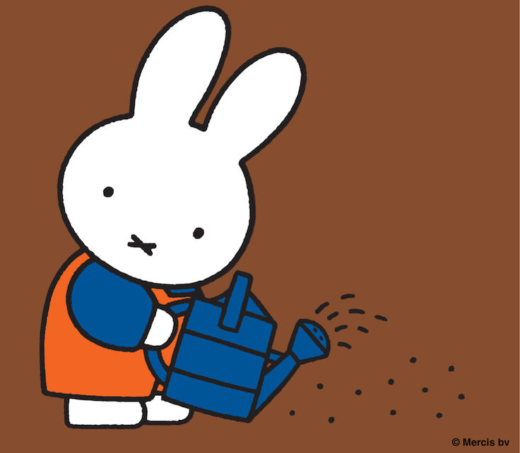 Miffy's Birthday Celebration 1
