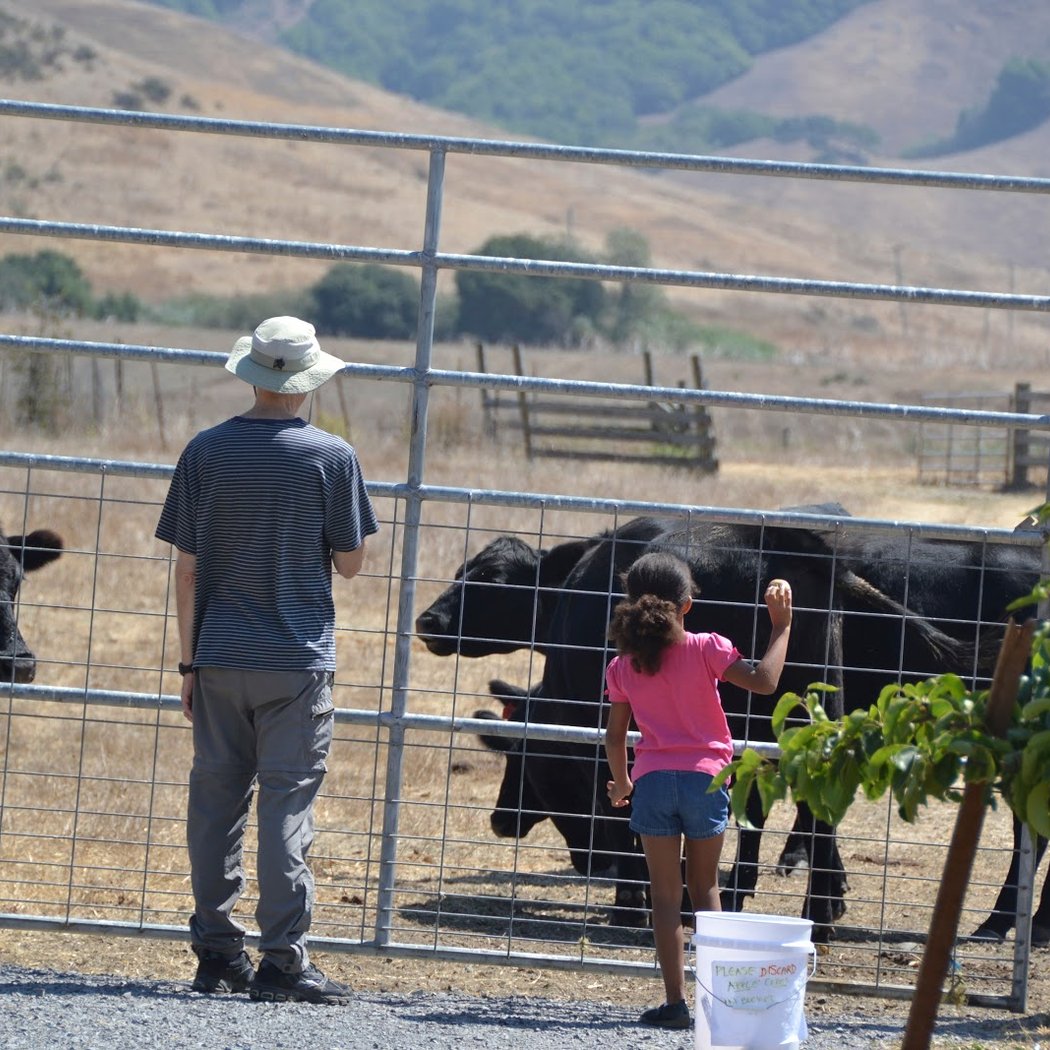 Chileno Valley Ranch