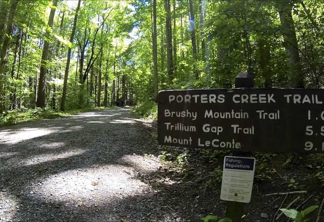 Porters Creek Trail 3
