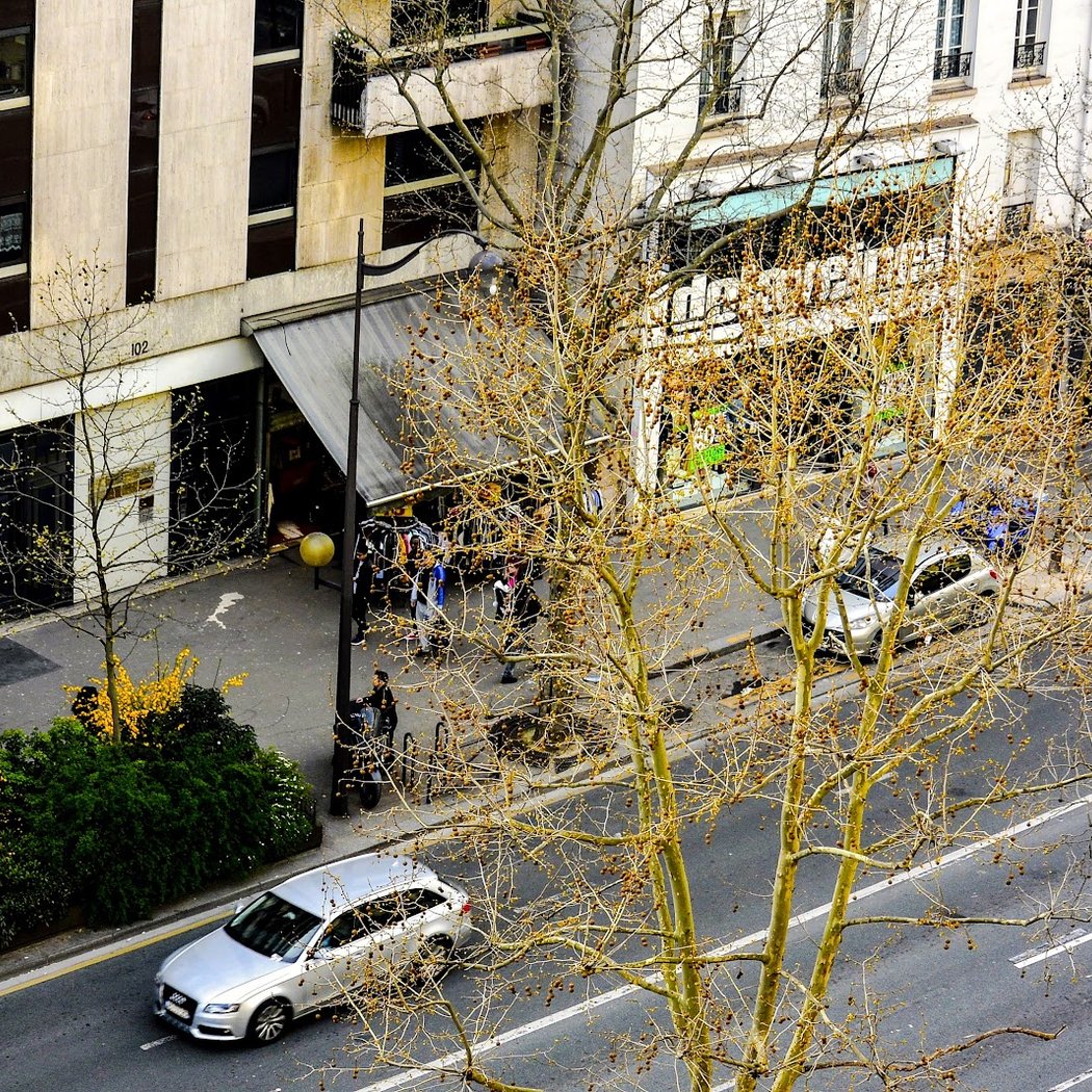 Shop in Style at Avenue du Général Leclerc 2