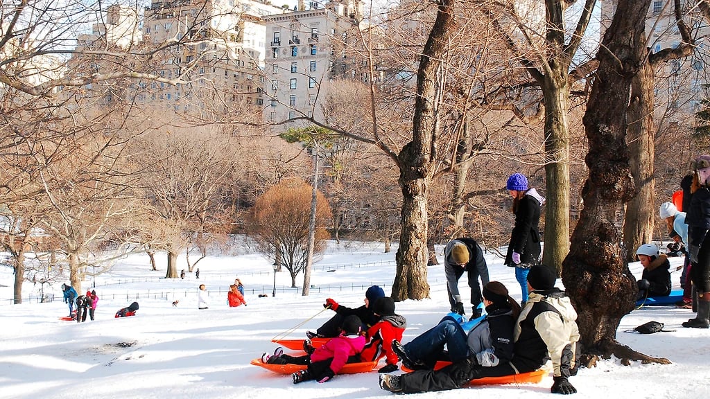 NYC Parks 1