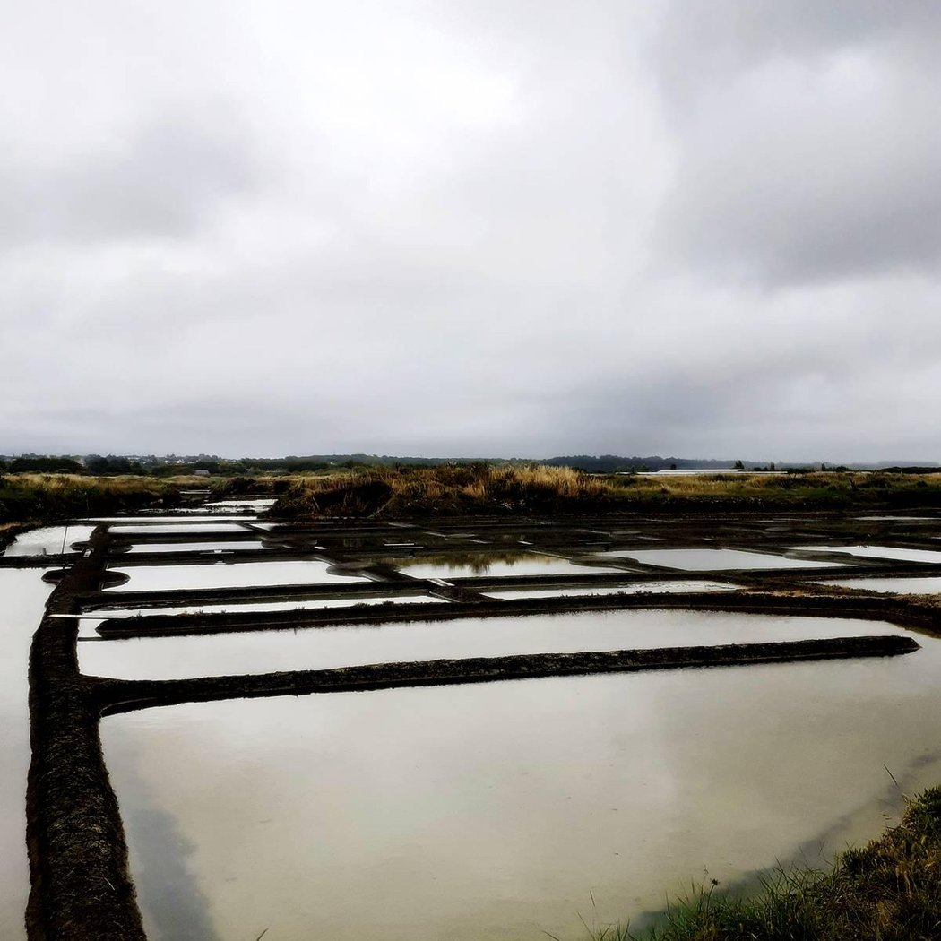 Marais salants de Guérande 1