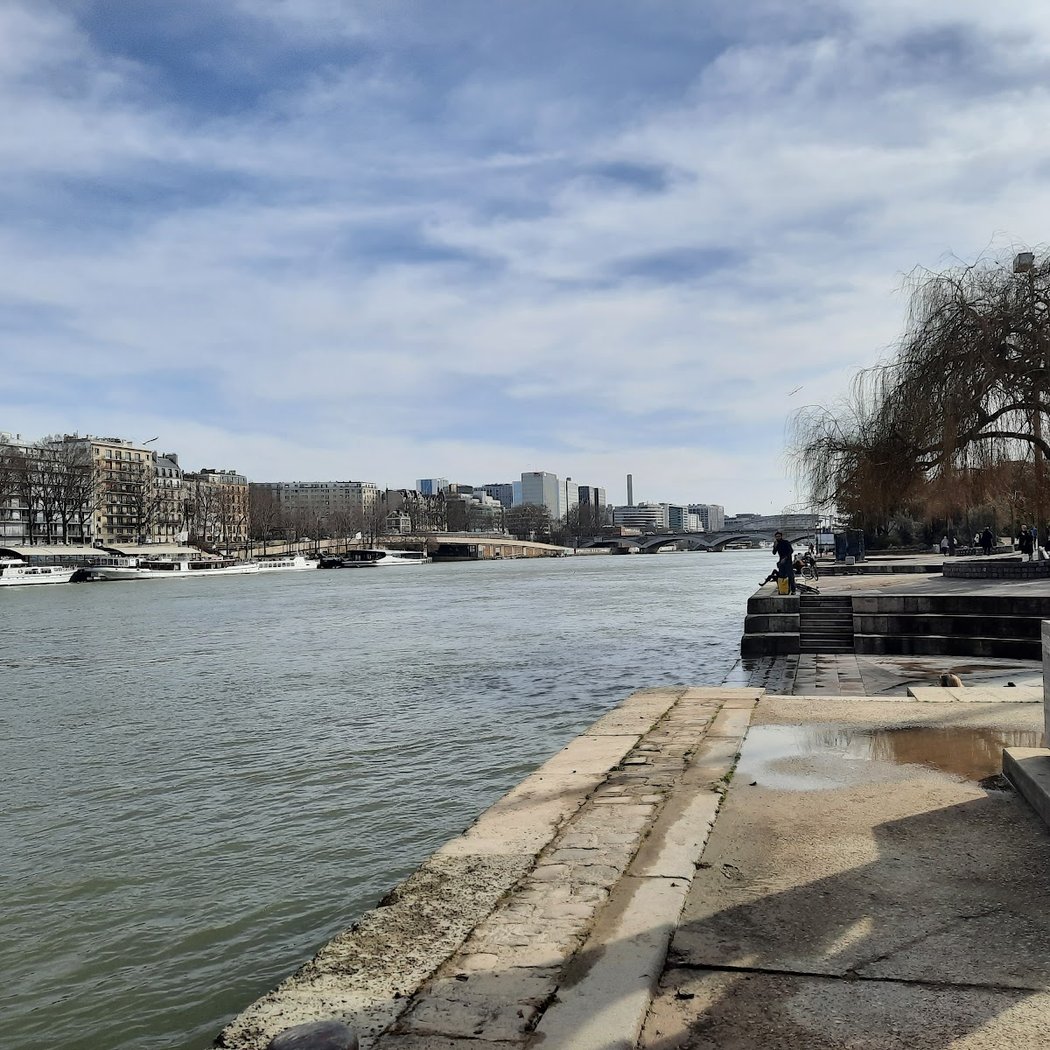 Dancing by the Seine 4