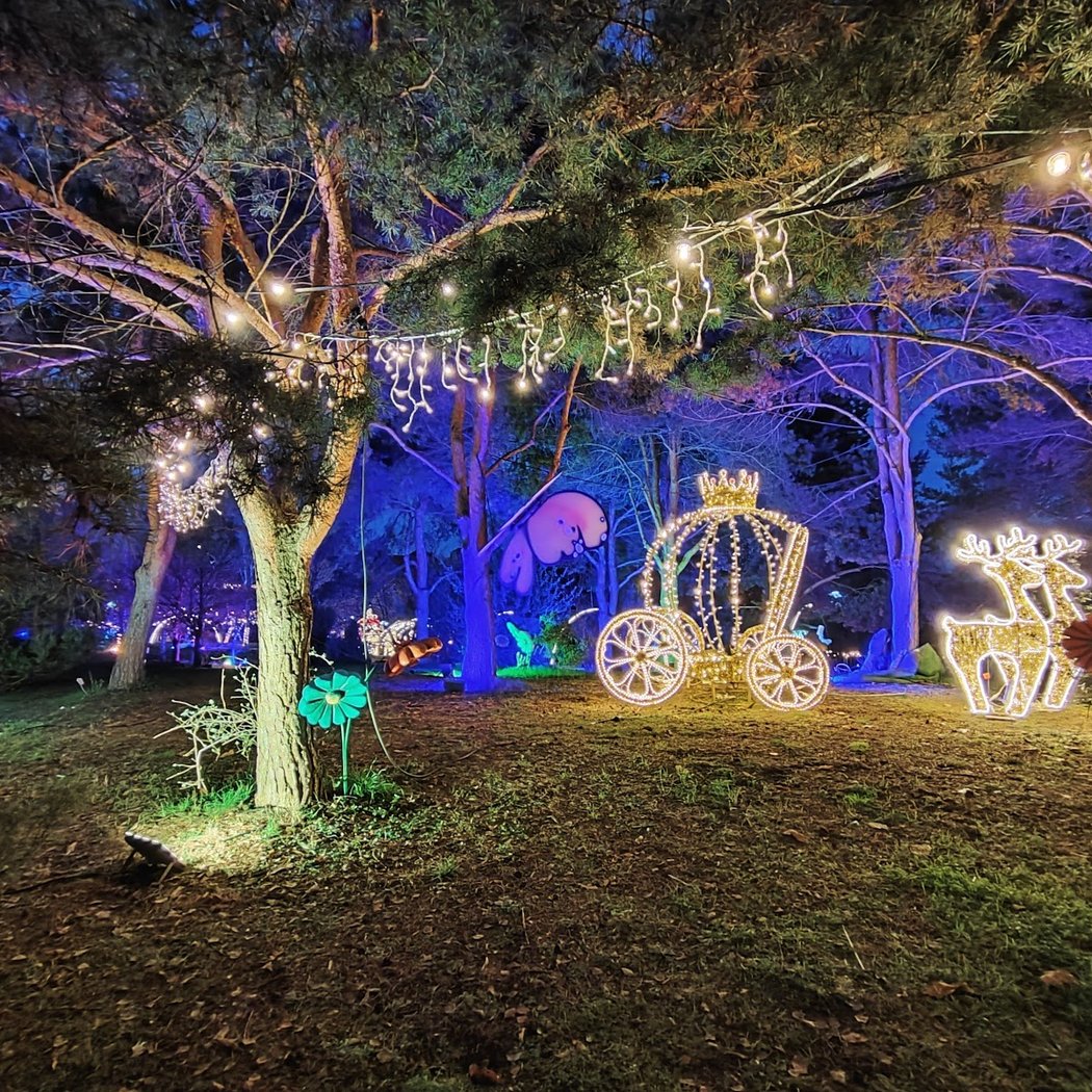 Naturaleza Encendida 2