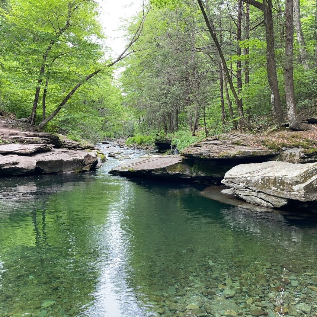 Peekamoose Blue Hole 1