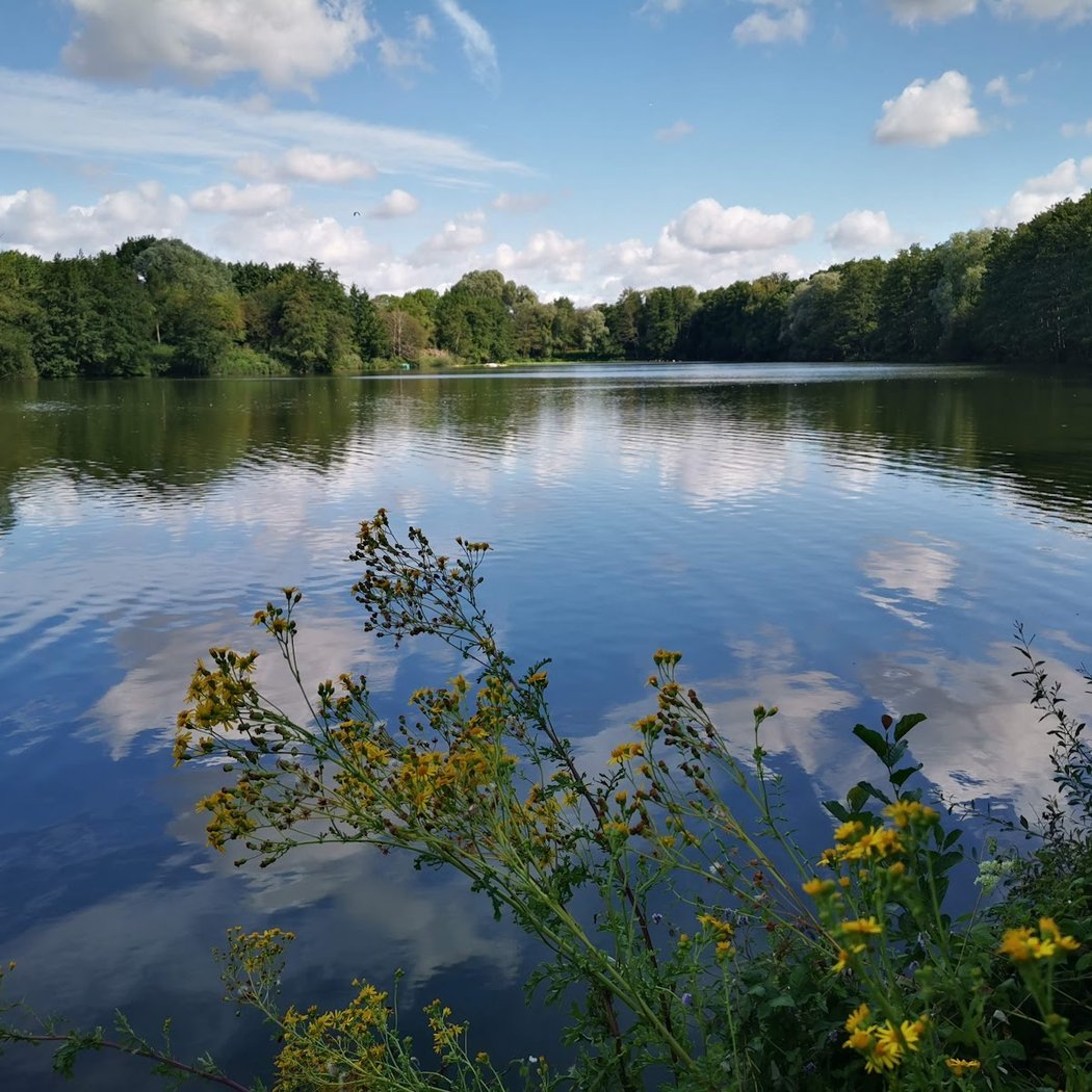 Parc des Iles 2