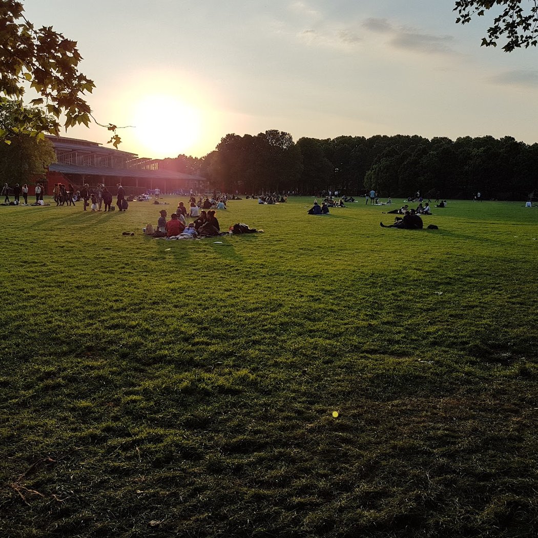 Cinéma en plein air de la Villette 1
