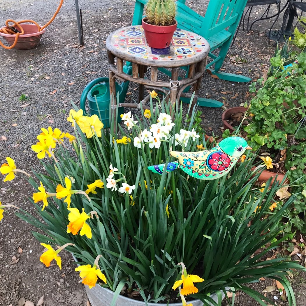 Charles Street Gardens 2