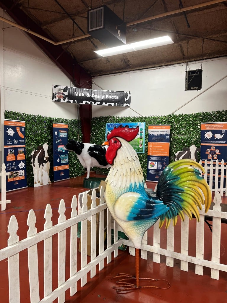 Fair-Agricultural District 3