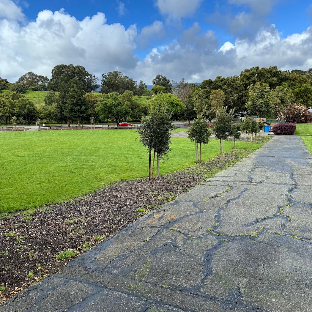 Stanford Hills Park 3