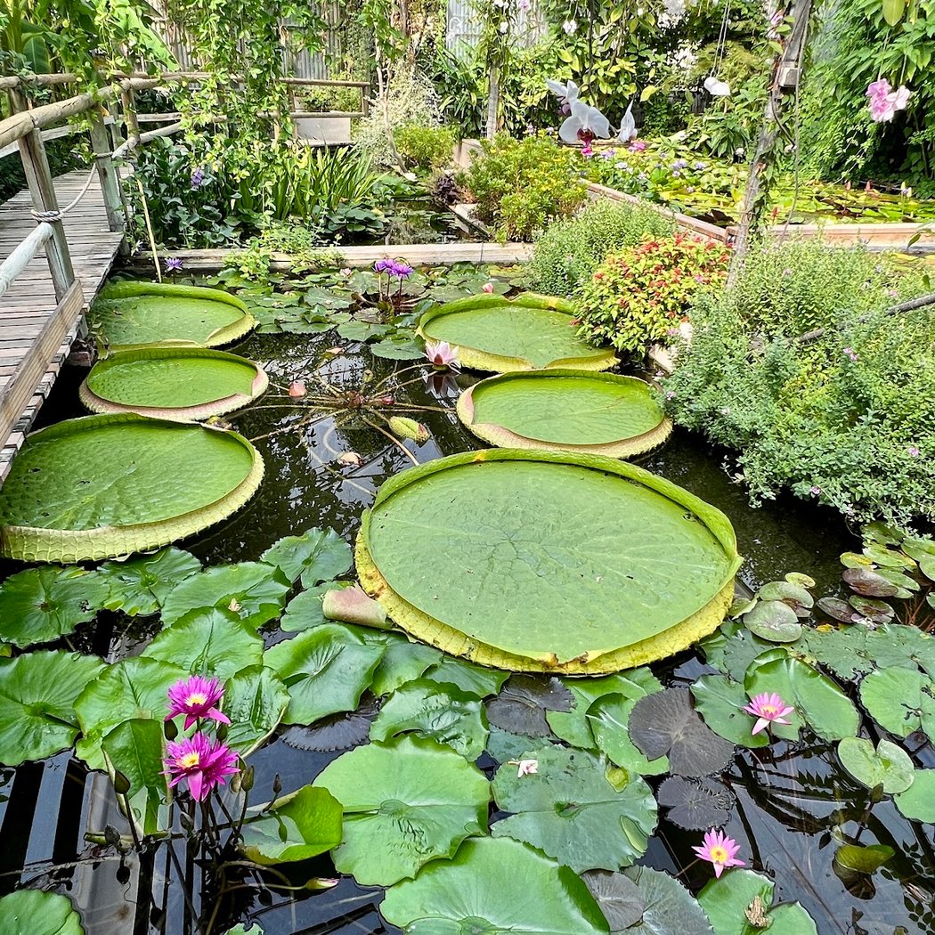 Les jardins des Martels 3