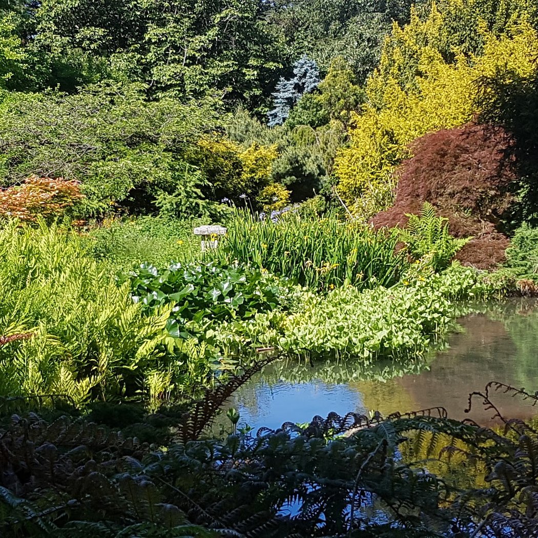 Free Day: Conservatory of Flowers 3