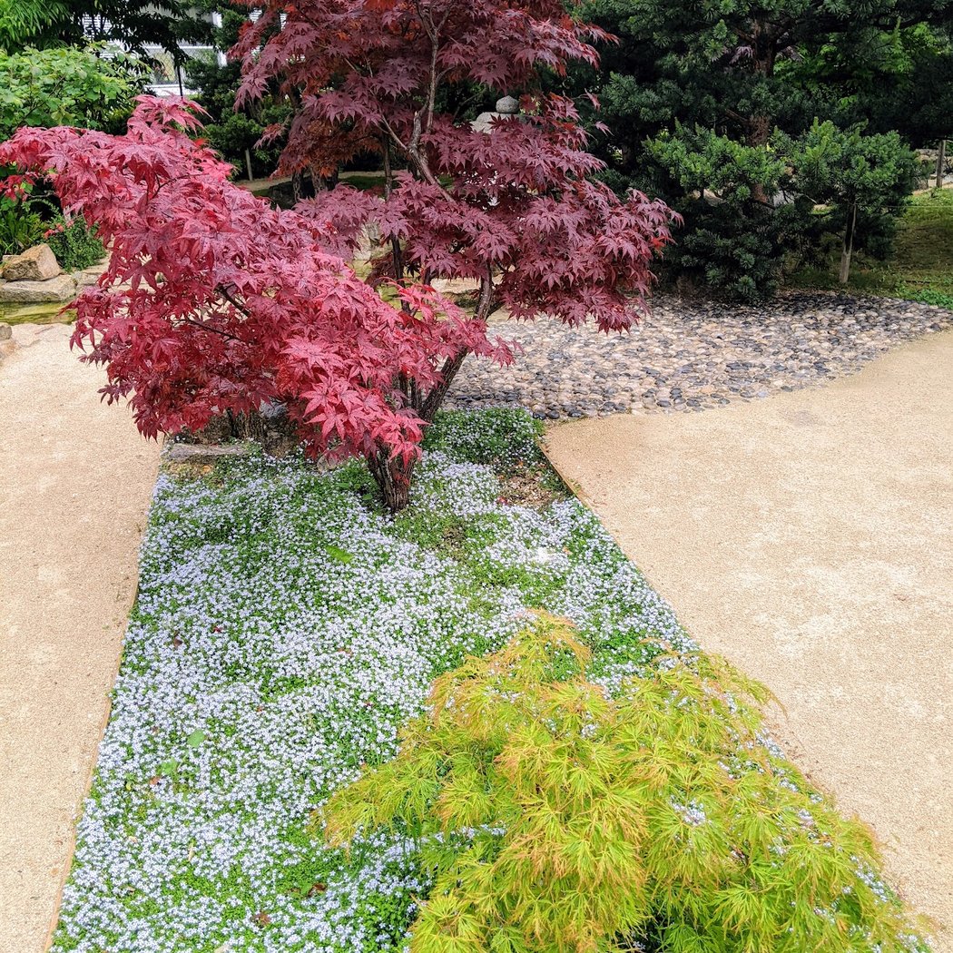 Jardin Ichikawa Events 2