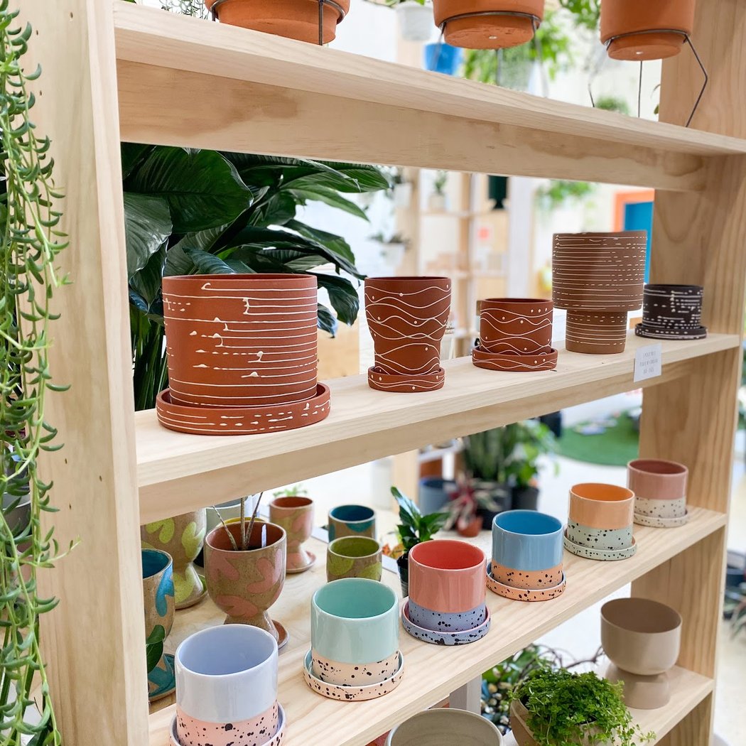 Little Shop of Soil 1