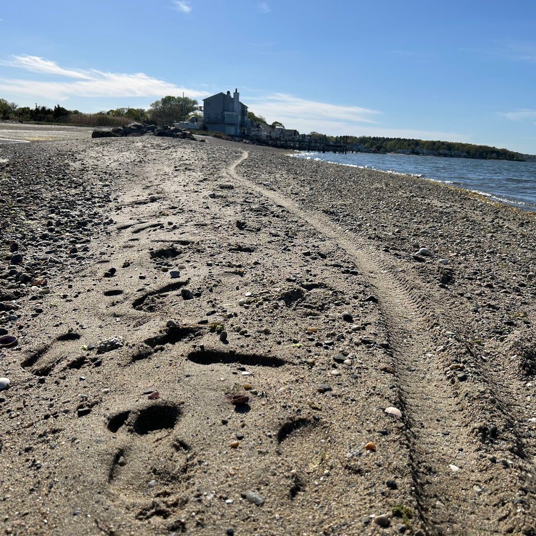 Sandy Point Beach 3