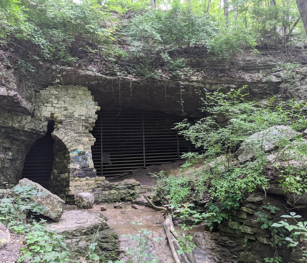 Cliff Cave Capers at Cliff Cave County Park 1