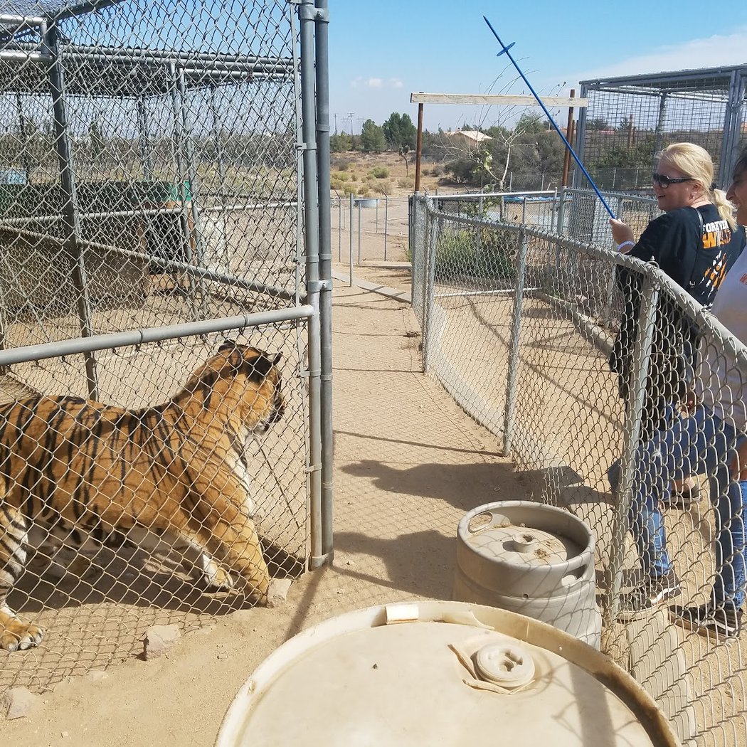 Forever Wild Exotic Animal Sanctuary 3