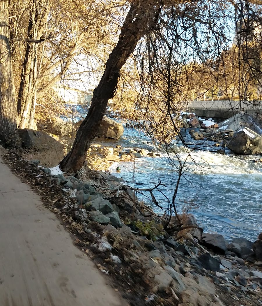 Phil Milstein Park 3