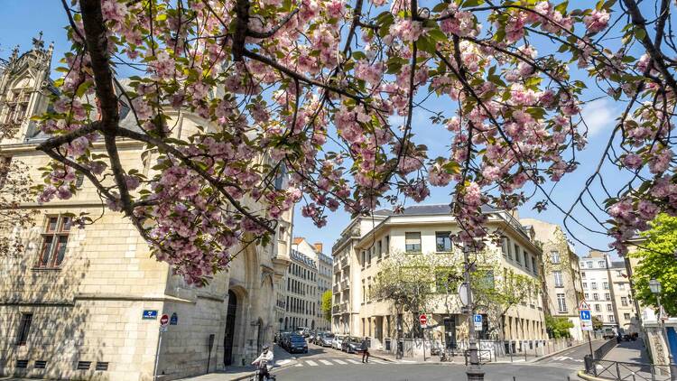 Square Marie-Trintignant 1