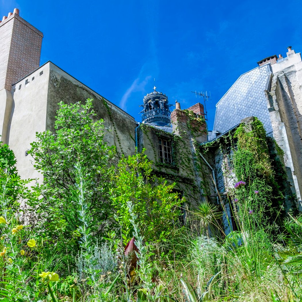 Jungle intérieure 1