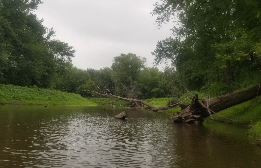 Vermillion River North Public Water Access 3