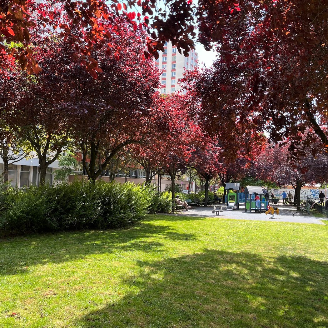 jardin du Père-Plumier 1