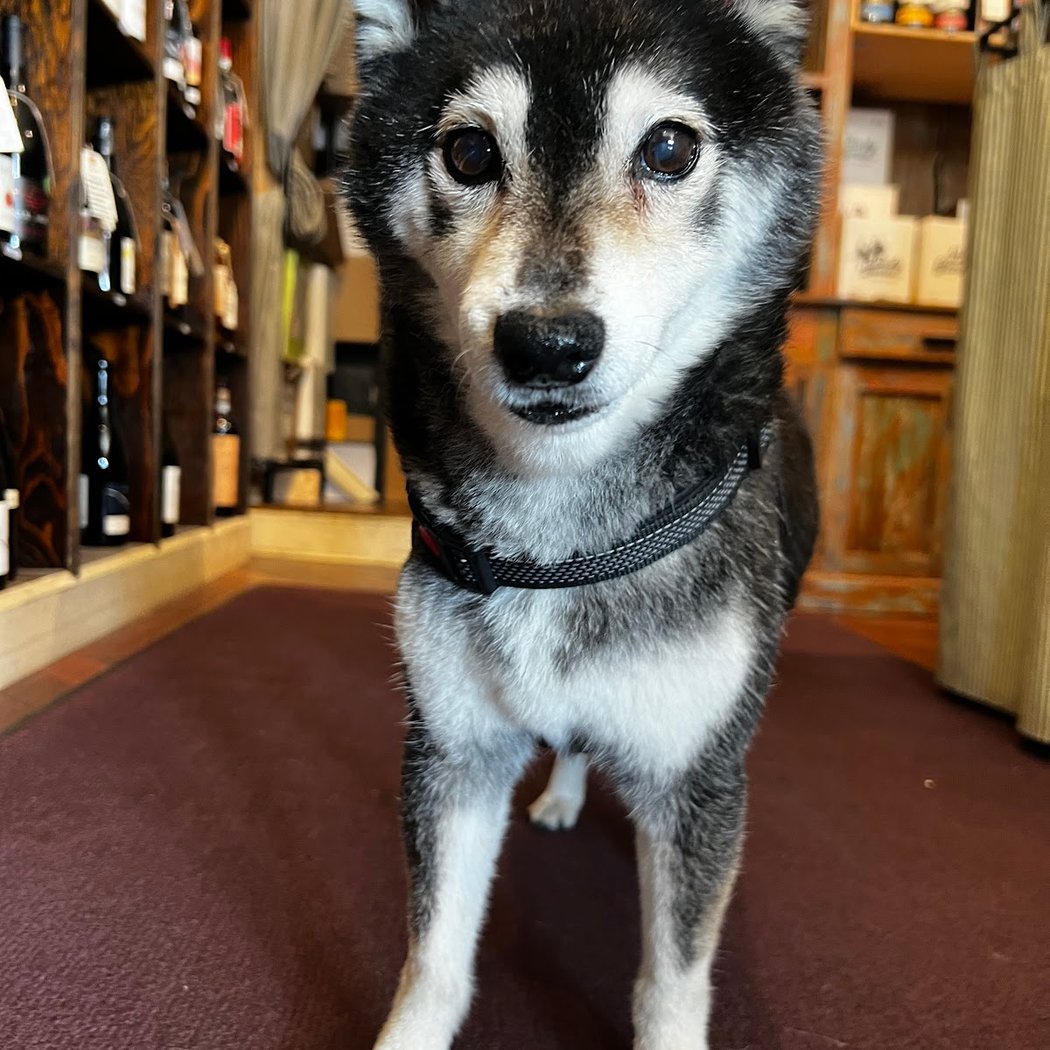 Gowanus Wine Merchants 3