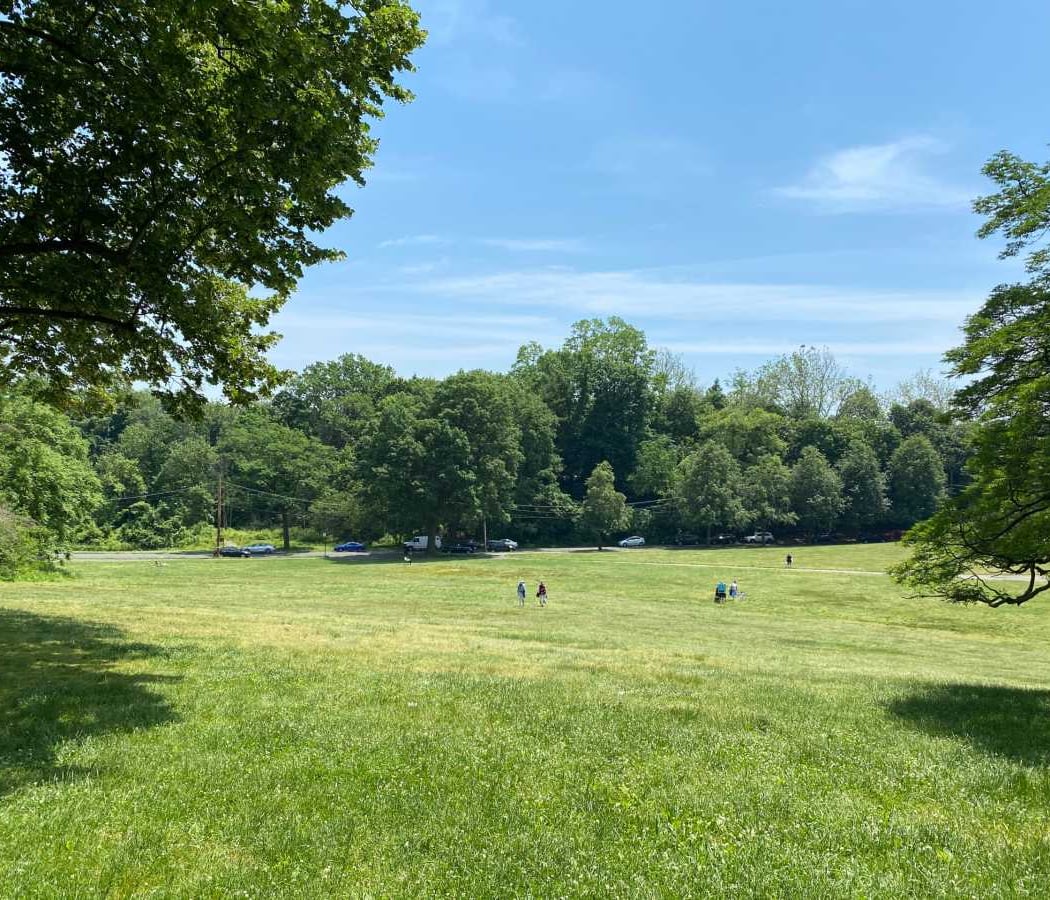 Crocheron Park 2