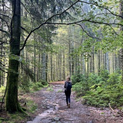 El Bosque de Cobre del Genal 1