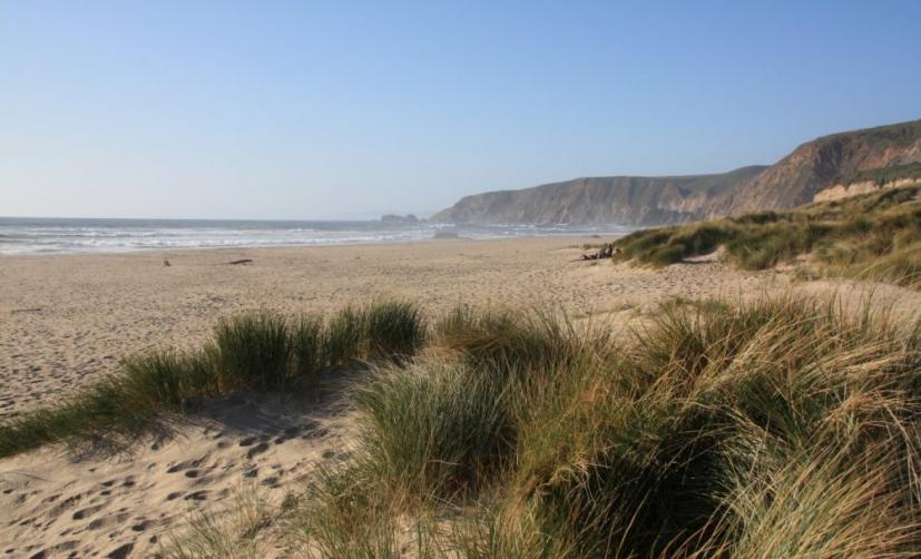 Kehoe Beach 2
