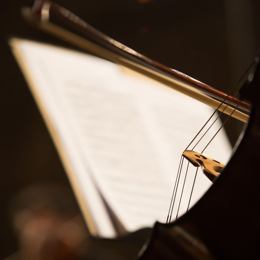 Mozart Concertante 1