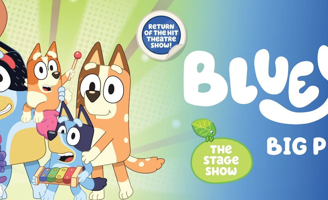 Bluey's Big Play