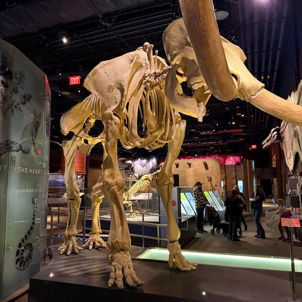 Nevada State Museum, Las Vegas 1