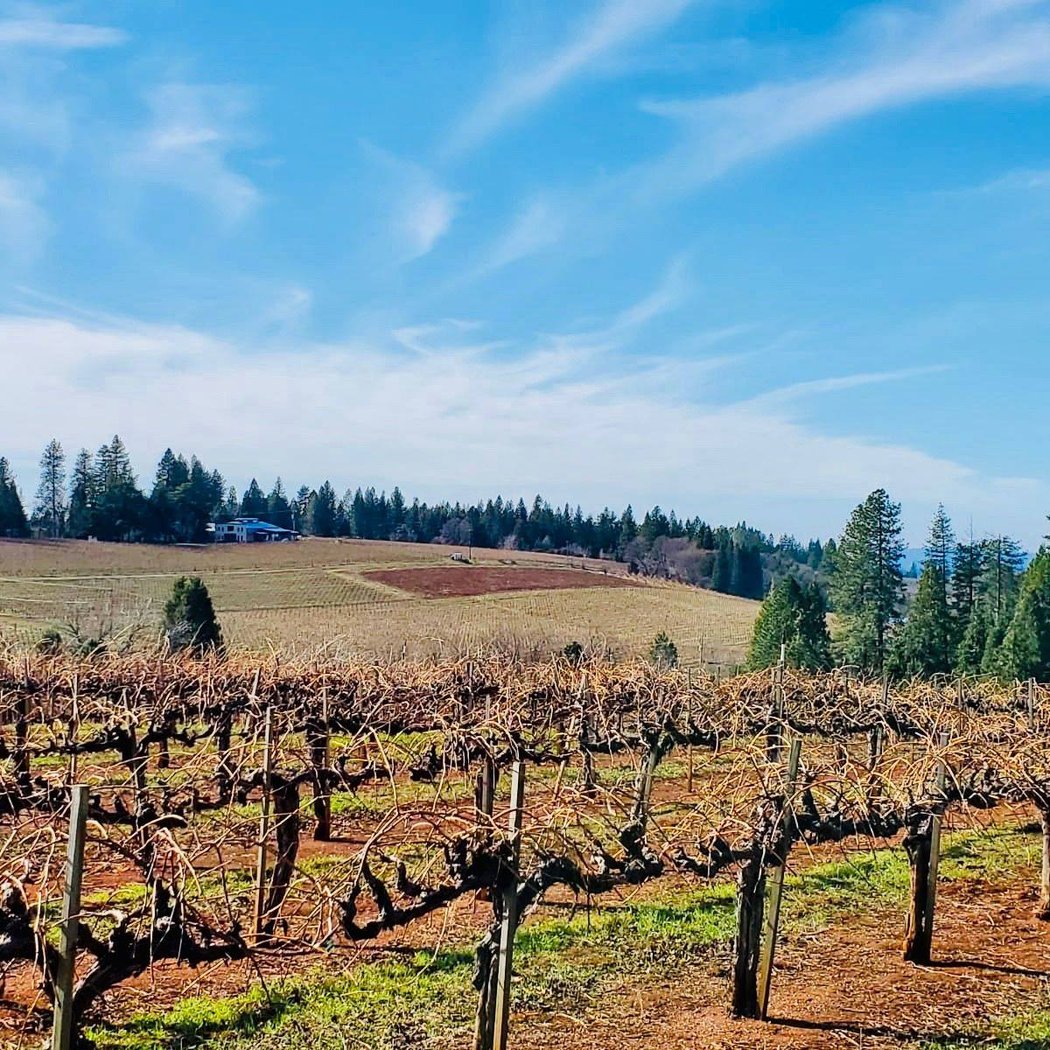 Donkey & Goat Winery 3