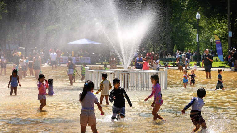 Boston Common Frog Pond 1