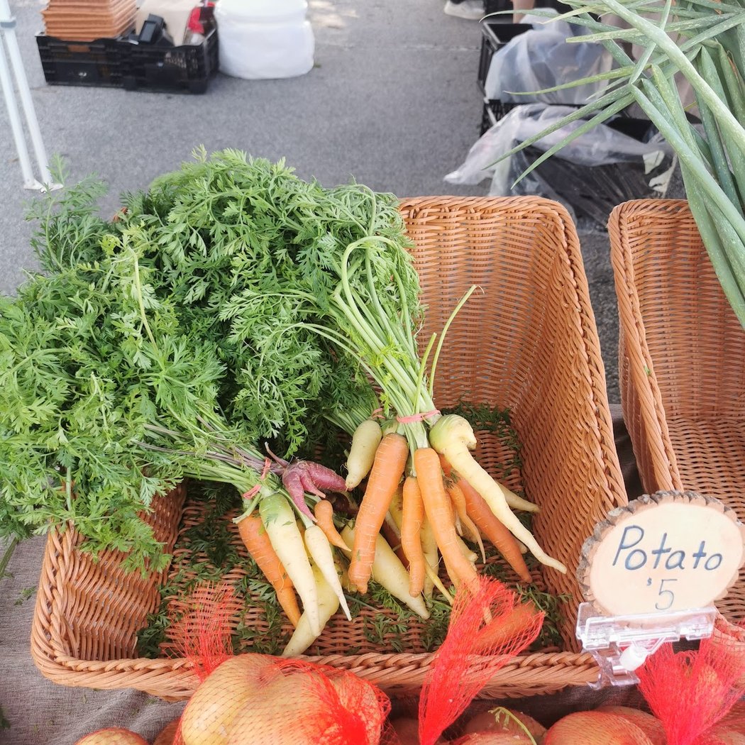 Port Washington’s Organic Farmers Market 1