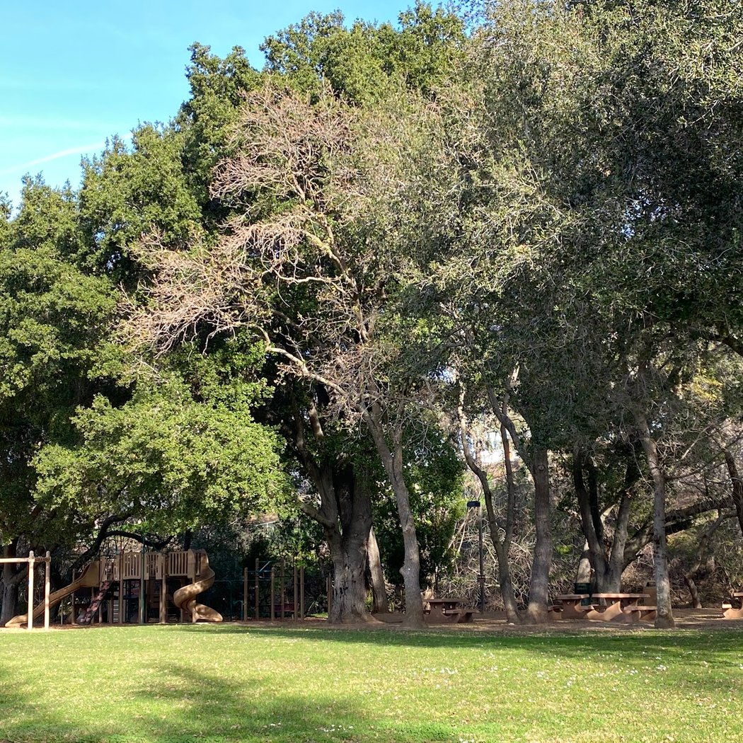 La Rinconada Park 1