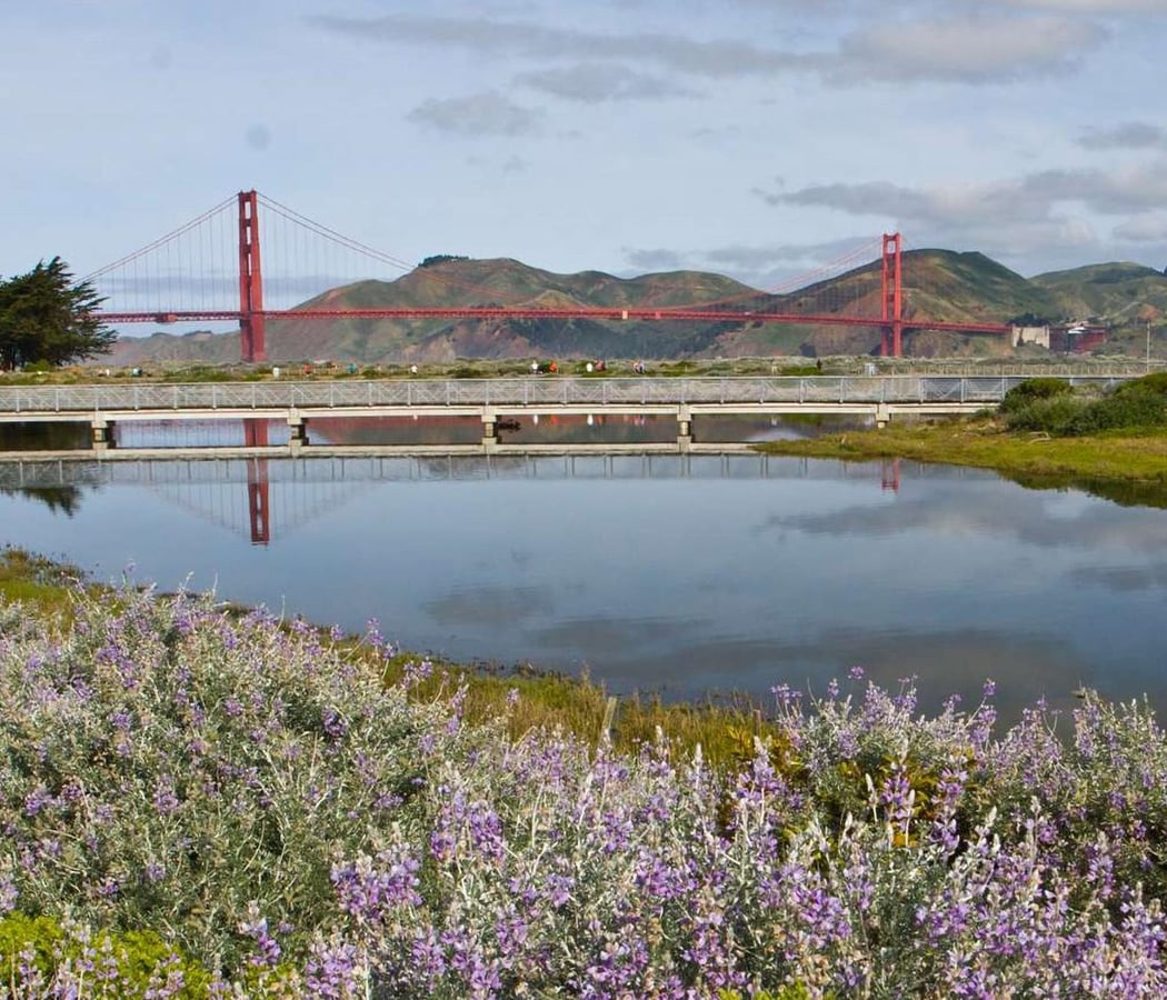 Crissy Field 1