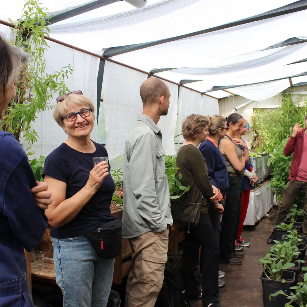 Open Greenhouse