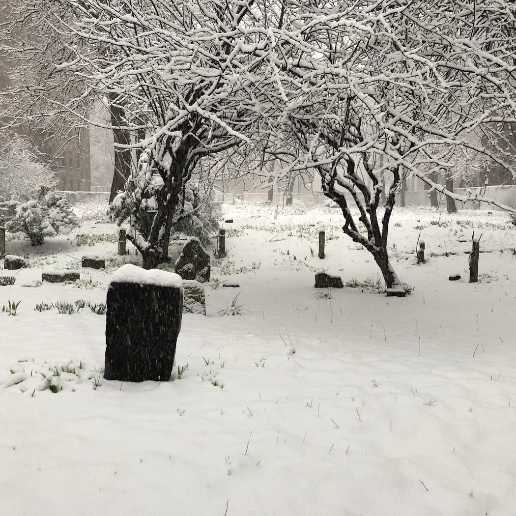 Moore Jackson Cemetery and Community Garden 1