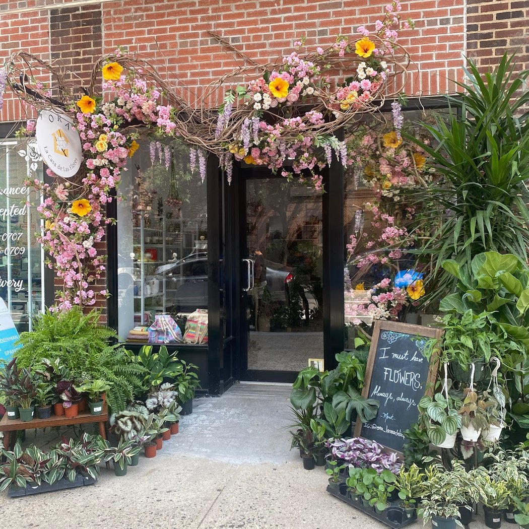 Ora La Casa De Las Flores 5
