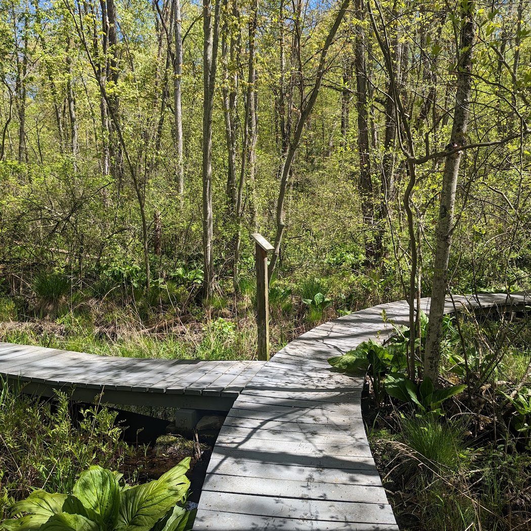 Pruyn Audubon Sanctuary 1