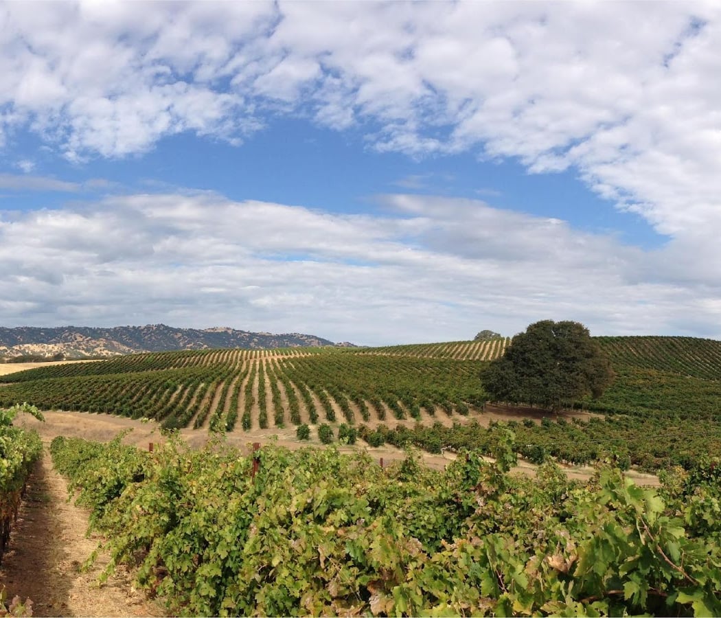 Berryessa Gap Vineyards Downtown Tasting Room 2