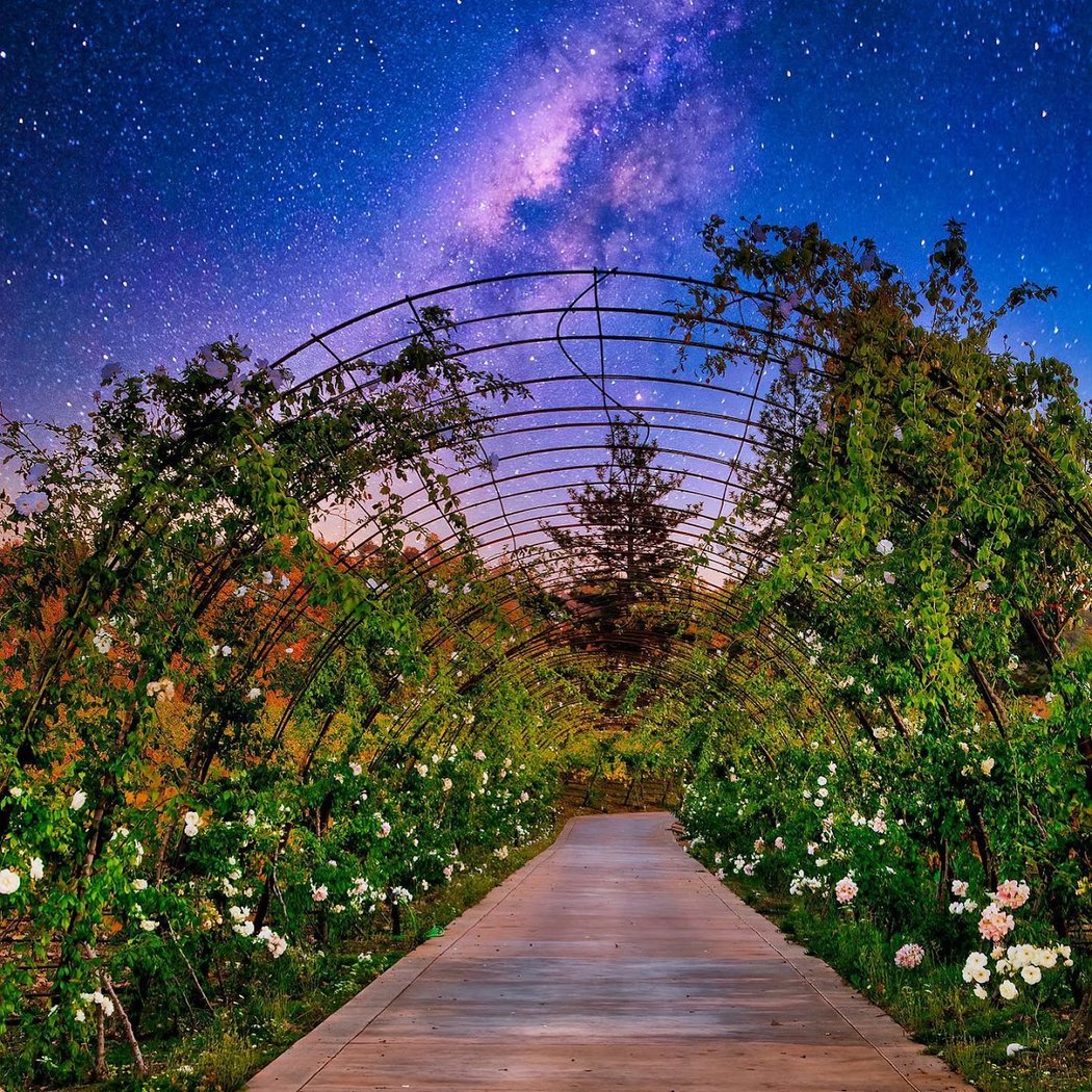 Starfield Vineyards & Winery 2