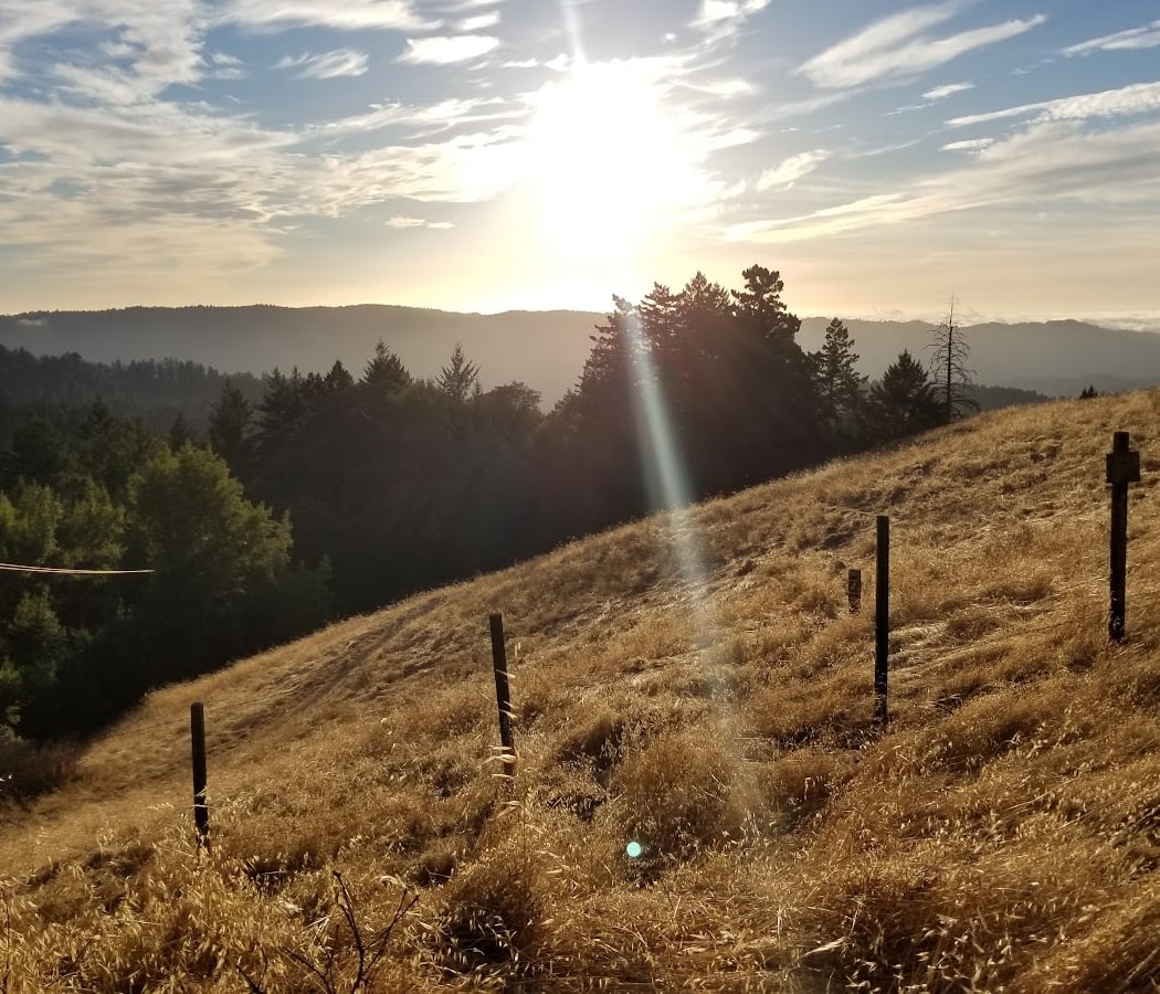 Saratoga Gap Open Space Preserve 1